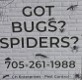 Got Bugs